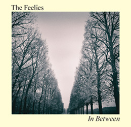 Feelies LP