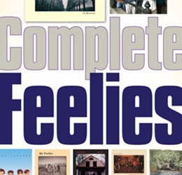 Feelies poster